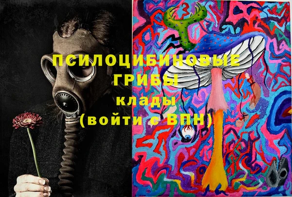Альфа ПВП Алексин